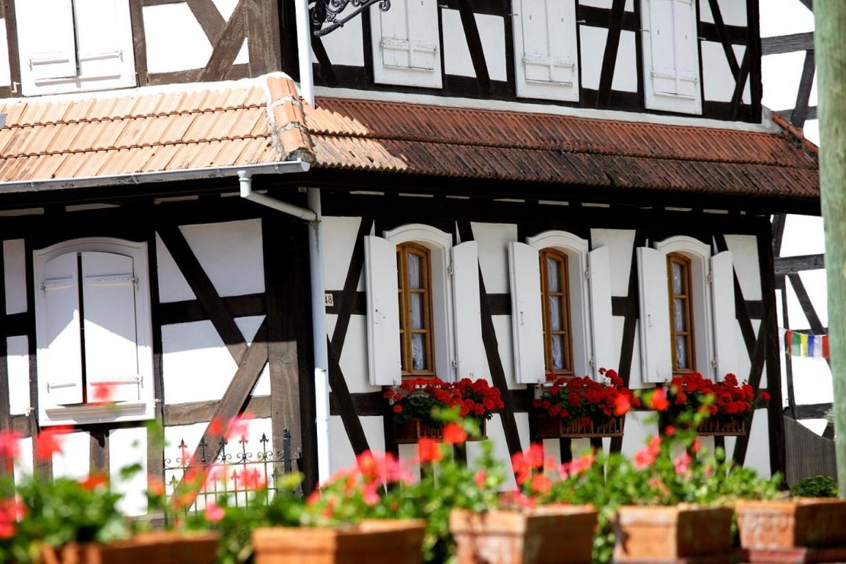 Gites Et Chambres D'Hotes Maison Ungerer Hunspach 外观 照片