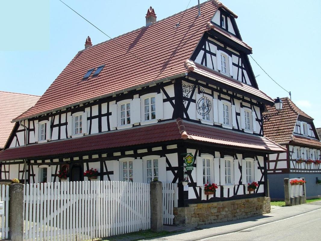 Gites Et Chambres D'Hotes Maison Ungerer Hunspach 外观 照片