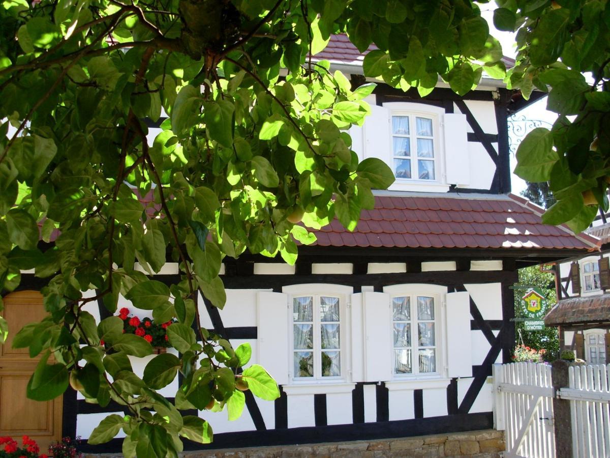 Gites Et Chambres D'Hotes Maison Ungerer Hunspach 外观 照片