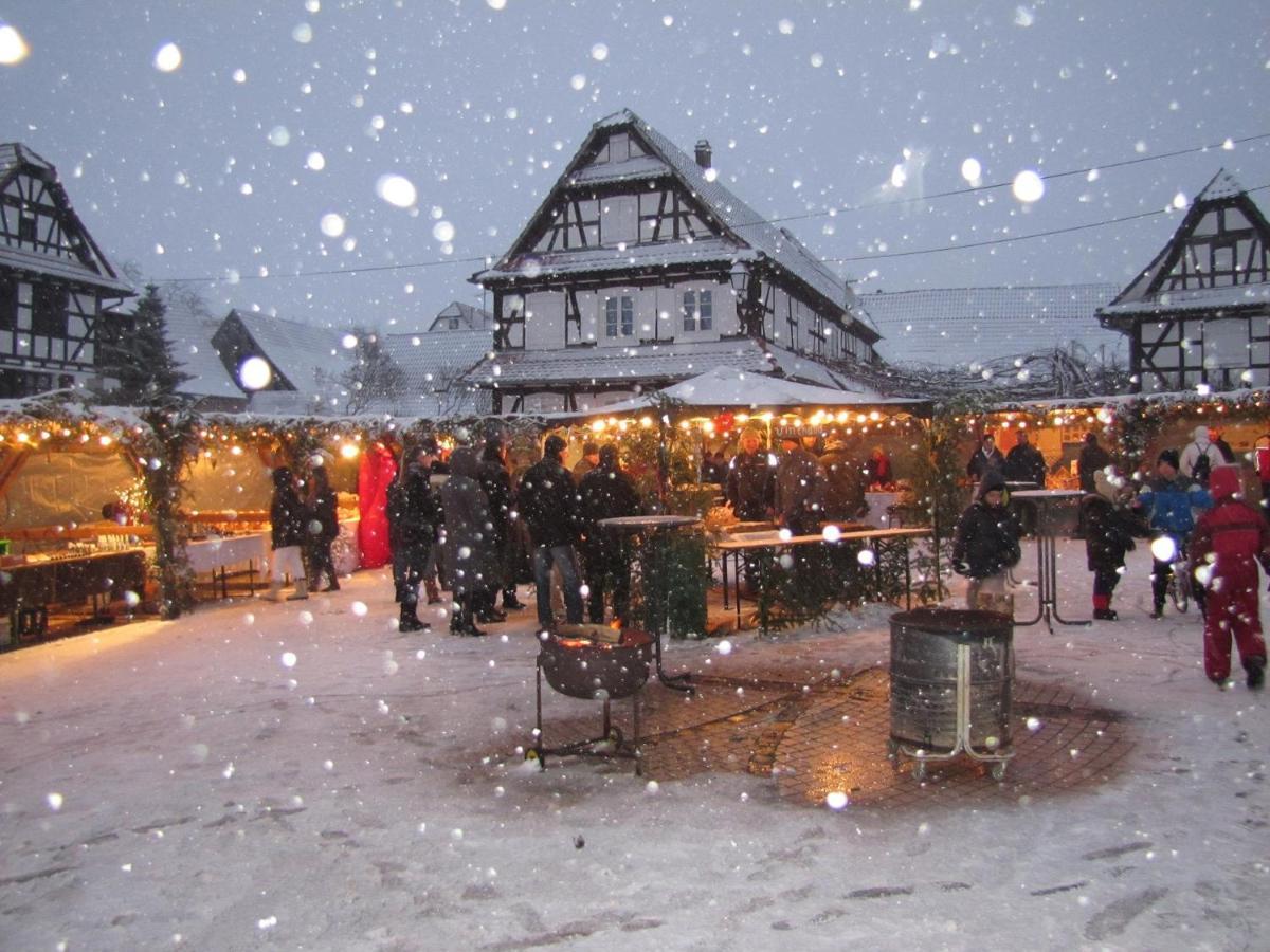 Gites Et Chambres D'Hotes Maison Ungerer Hunspach 外观 照片