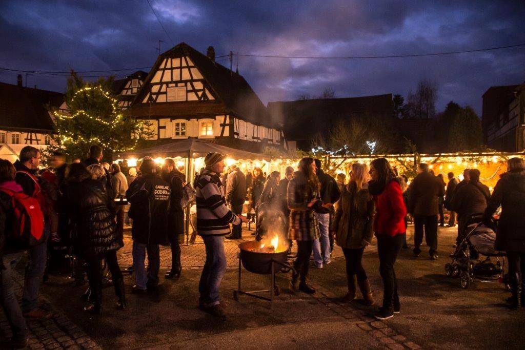 Gites Et Chambres D'Hotes Maison Ungerer Hunspach 外观 照片