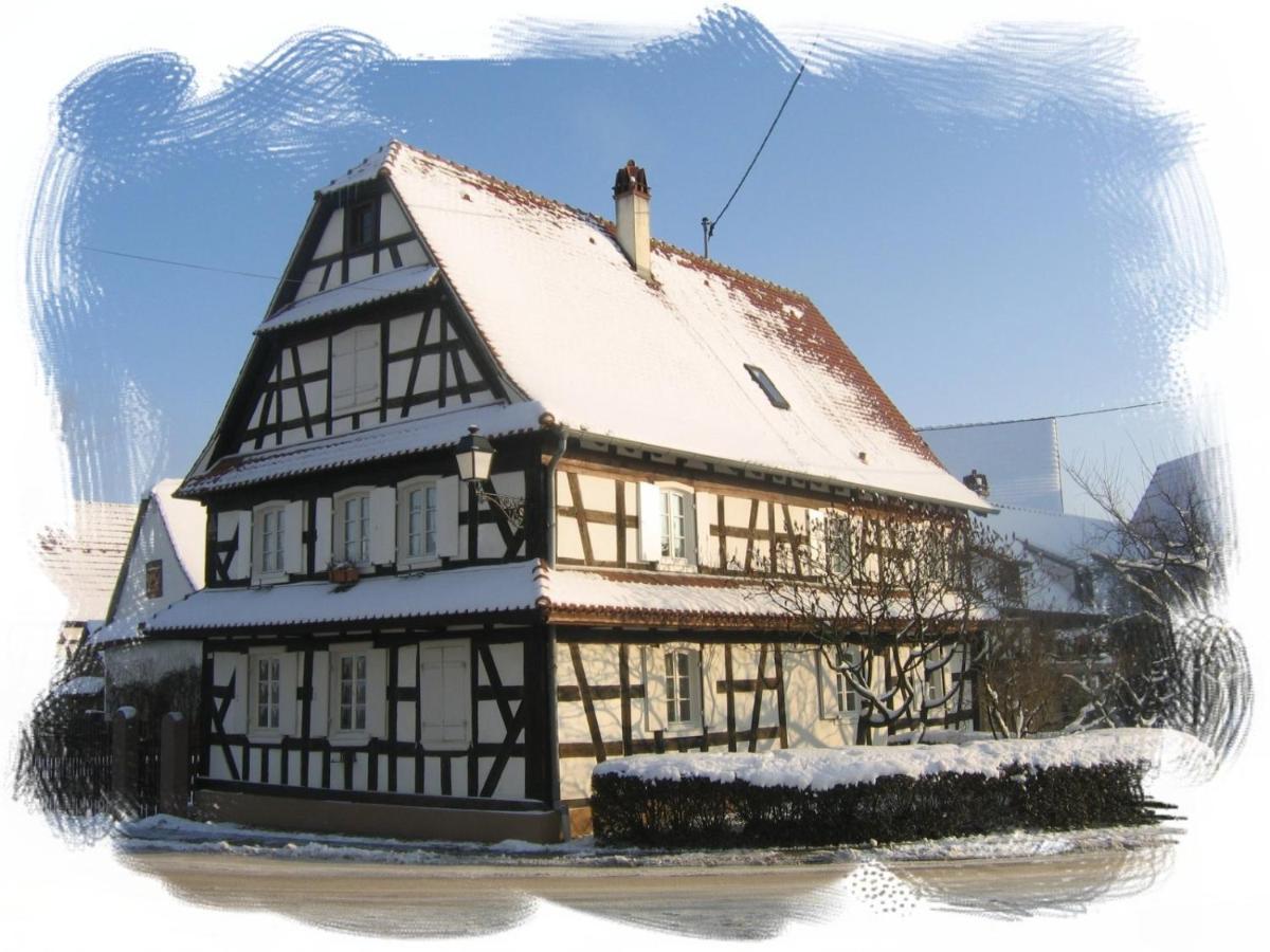 Gites Et Chambres D'Hotes Maison Ungerer Hunspach 外观 照片