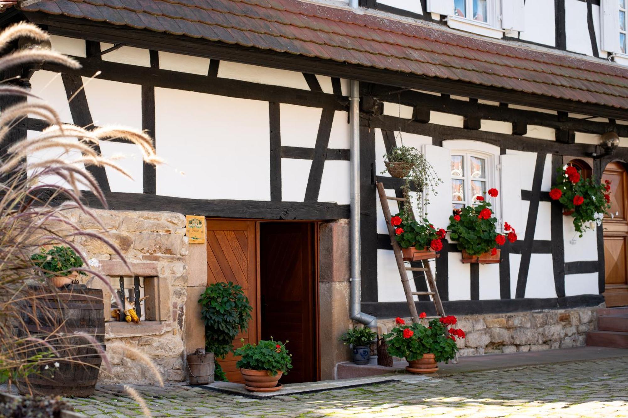 Gites Et Chambres D'Hotes Maison Ungerer Hunspach 外观 照片