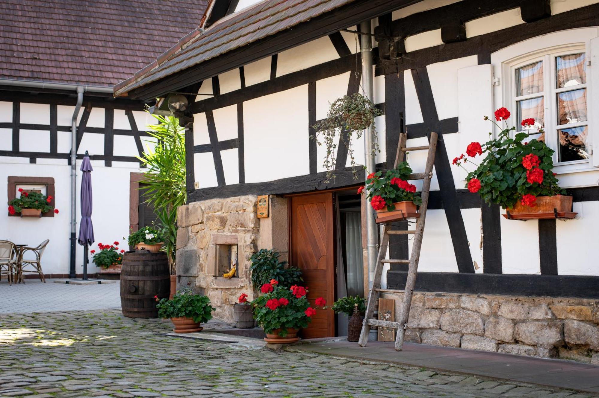 Gites Et Chambres D'Hotes Maison Ungerer Hunspach 外观 照片