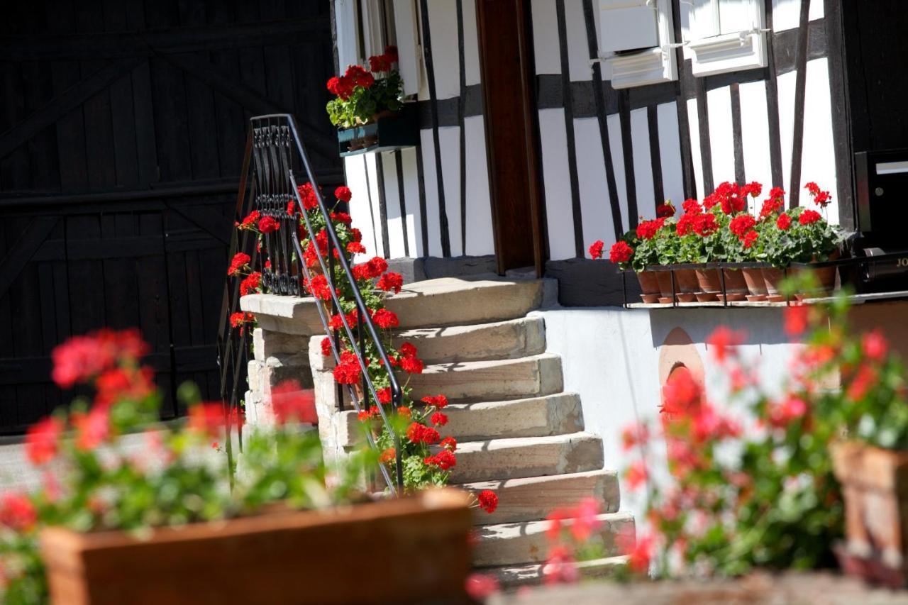 Gites Et Chambres D'Hotes Maison Ungerer Hunspach 外观 照片